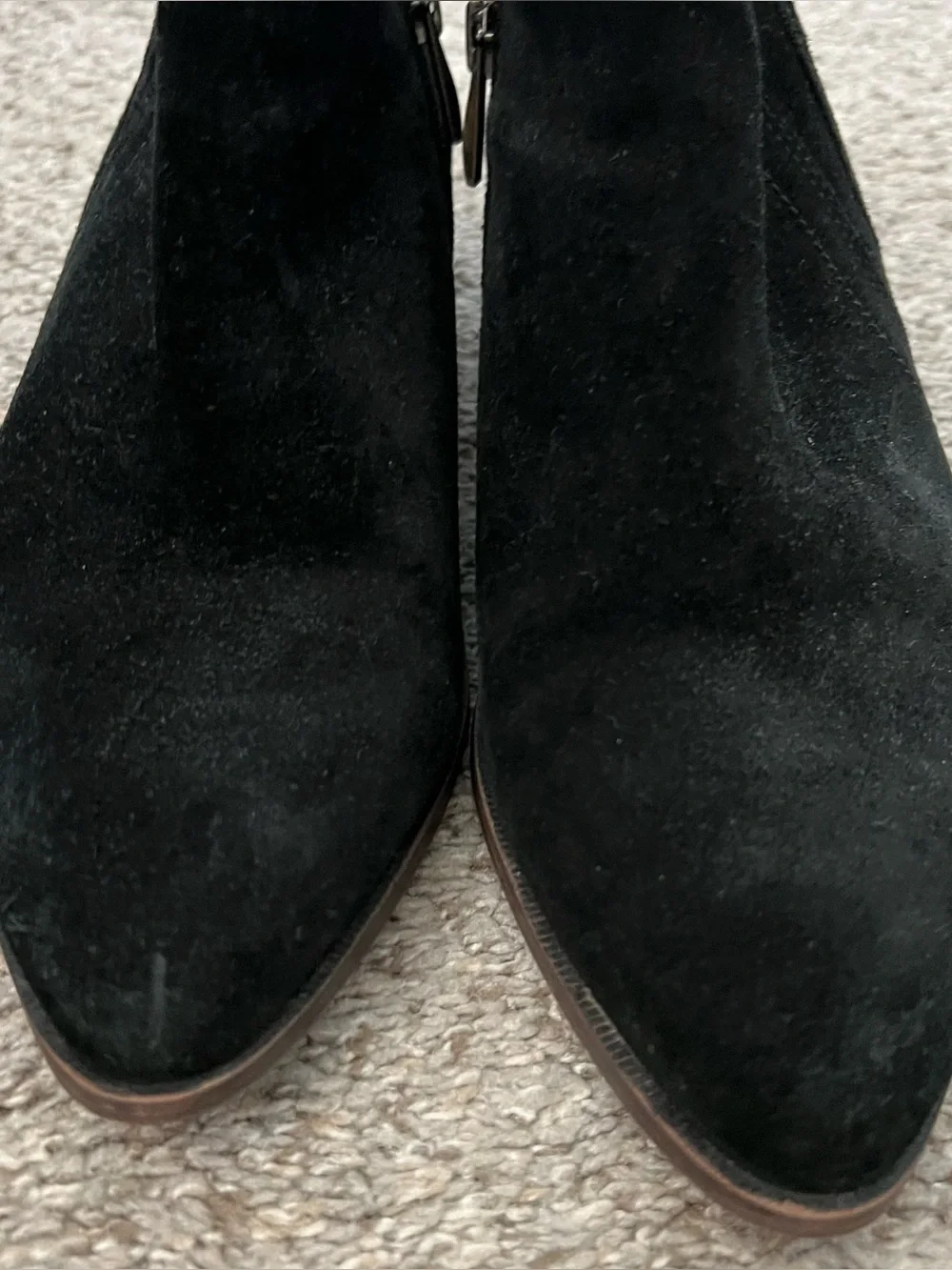 SARTO By Franco Sarto elegant black